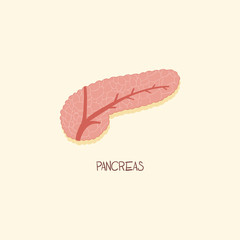 Pancreas Digestive System Organ Vector Illustration