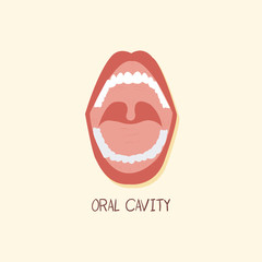 Oral Cavity Digestive System Organ Vector Illustration