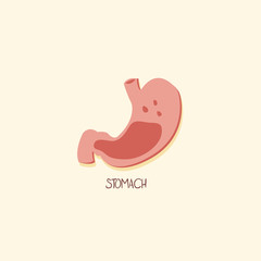 Stomach Digestive System Organ Vector Illustration