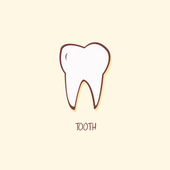 Tooth Digestive System Organ Vector Illustration