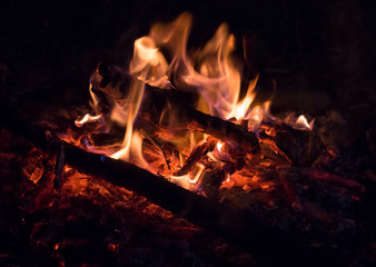 Fototapeta premium Closeup of wood burning on a bonfire