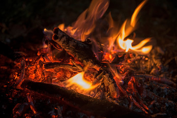 Closeup of wood burning on a bonfire