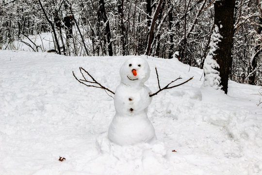 Real Snowman Images – Browse 957 Stock Photos, Vectors, and Video | Adobe  Stock