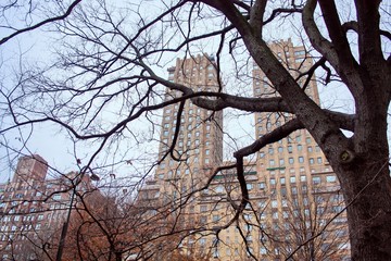 The San Remo Hochhaus hinter kahlem Baum