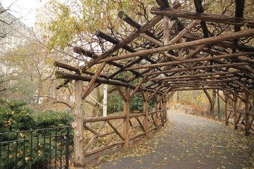 Central Park New York im Herbst mit Ast Baldachin Dach - Holz und Laub © Claudia