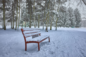 Snow-covered trees and wooden benche in the city park.