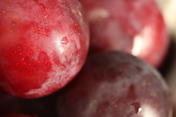 plum macro photo