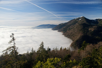 Mer de Brouillard