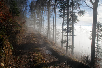 Mer de Brouillard