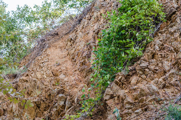 The walls of the mountain Fruska Gora in Serbia
