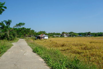 ミャンマー　ダラ地区　風景