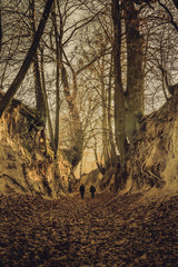 Obraz premium People walking through gorge