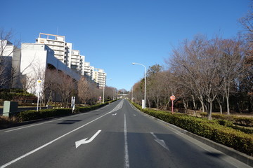 道路