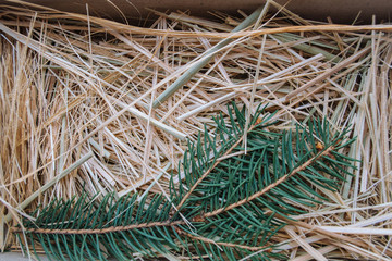 The wooden background.