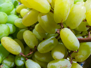 bunch of green grapes
