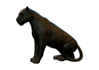 3D Rendering Black Panther on White