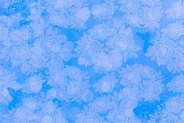 Floral Decorative Pattern