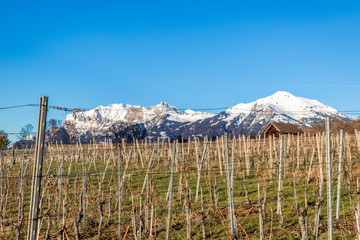 Fototapeta premium wooden fence and blue sky