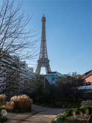 vue de la Tour Eiffel depuis le musée Jacques Chirac à Paris