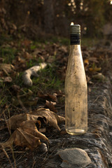 vintage empty bottle on the ground