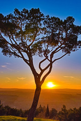 Italy, Castel del Monte, surrounding nature sunset