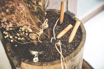 coffee beans in the wooden basket