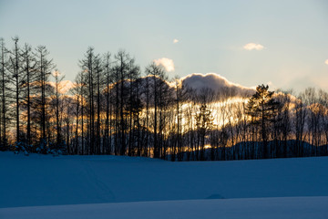 Fototapeta premium 冬の夕暮れの空
