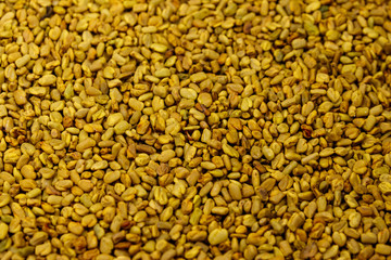 Background of the fenugreek seeds