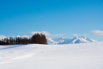 冬晴れの空と雪原と雪山　十勝岳連峰