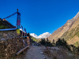 Himalaya und Gebetsfahnen. Trekkingpfad des Manaslu Conservation Area in Nepal. gelbe Bäume