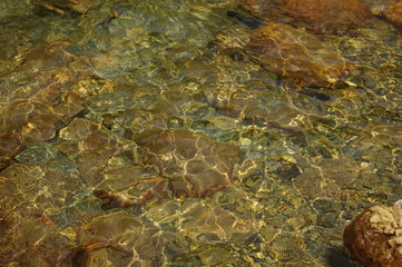 Transparent, clear water of a mountain river in golden tones. Stones at the bottom. Backgrounds with copy space
