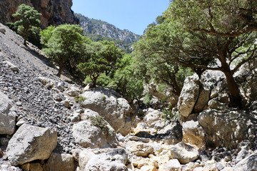 Rouvas Schlucht auf Kreta