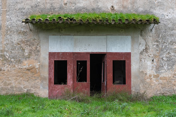 Door with vegetation of an old abandoned building