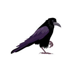 Black raven illustration. Bird, black, mystic. Nature life concept. Vector illustration can be used for topics like nature, animal world, encyclopedia 