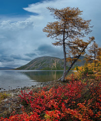 Russia. Magadan. The amazing beauty of the autumn of the Far East. The lake Maxi