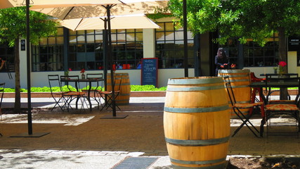 Obraz na płótnie Canvas Concha y Toro Winery in Chile