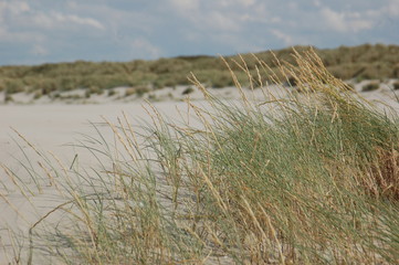 Strand an der Nordsee auf Ameland in den Niederlanden