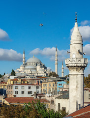 Obraz premium stanbul, Turkey. 09-November-2018. Vertical photo of Sulymaniye mosque against blue sky and birds flying