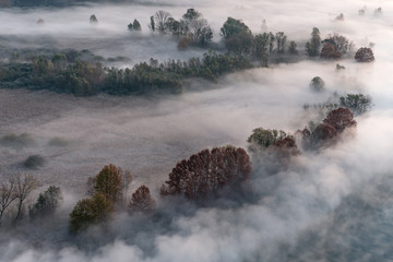 Panorama sulla foresta e sul fiume con nebbia