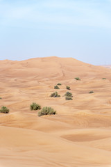 Fototapeta na wymiar Sharjah desert area, one of the most visited places for Off-roading by off roaders, Big Red to Pink Rock