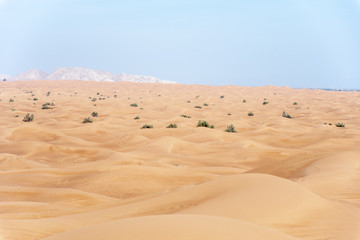 Sharjah desert area, one of the most visited places for Off-roading by off roaders, Big Red to Pink Rock