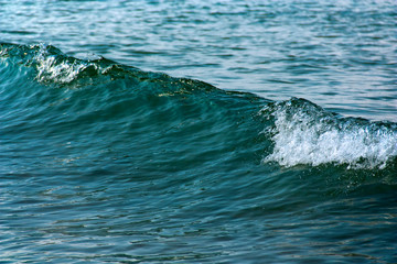 Fototapeta premium Sea wave in frozen motion as background