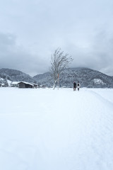 Bavarian Winter Hike