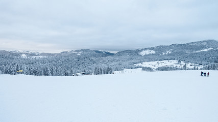 Fototapeta na wymiar Winter Ski Landscape