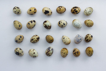 many quail eggs (24 pieces) laid out on a light background