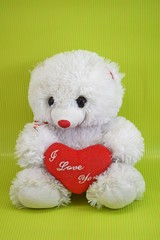 Valentine's day.Fluffy Teddy bear.