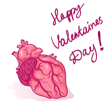 Vector Cartoon Greeting Card. Happy Valentines Day. Anatomic Human Heart.