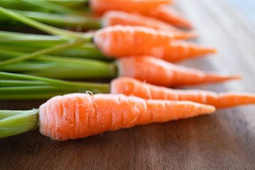 macro shot of fresh organic orange carrot, selective focus