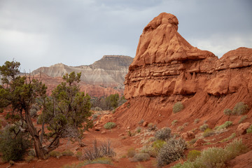 Fototapeta premium Sandstone Bluff, Southern Utah