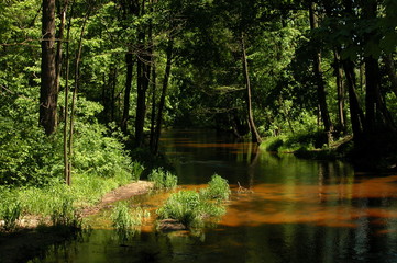 Roztoczanski Park Narodowy
